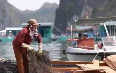 Cuộc sống dần trở lại bình thường sau bão ở Cát Bà