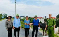 Công an xã phối hợp tìm chủ con trâu bị lũ cuốn trôi từ Phú Thọ về Hà Nội