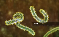 Số người tử vong do virus Marburg ở Rwanda tăng lên 8