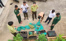 Bà Rịa - Vũng Tàu: Bắt quả tang đối tượng vận chuyển thú rừng trái phép