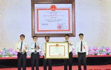 Bình Định: Vùng đất võ nhận Quyết định công nhận đạt chuẩn nông thôn mới