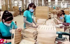 Xuát khẩu gỗ và lâm sản mang về 12,5 tỷ USD