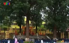 Học về Hà Nội để thêm yêu Hà Nội