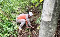 Xuất hiện vết nứt núi ở Phong Thổ, Lai Châu