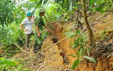 Bắc Giang công bố tình huống khẩn cấp sạt lở đất tại 3 huyện