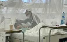 Dịch sốt xuất huyết bùng phát mạnh tại châu Mỹ