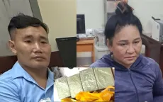 Bắt đối tượng vận chuyển ma túy ngụy trang trong thùng xốp đựng táo mèo