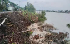 An Giang: Sạt lờ bờ sông Hậu do mưa lũ