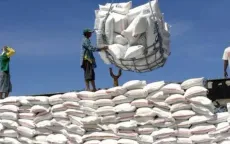 Philippines là nước nhập khẩu gạo lớn nhất thế giới