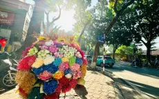 "Check-in" Hà Nội mùa thu: Những góc nhỏ làm say đắm lòng người