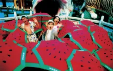 Liên hoan phim Cao Hùng gây tranh cãi khi chiếu bản phim 19 năm trước