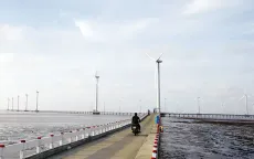 Xúc tiến dự án điện gió ngoài khơi trị giá khoảng 4,6 tỷ USD