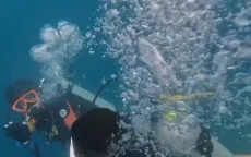 Nuôi dưỡng tình yêu đại dương đối với trẻ nhỏ