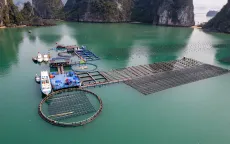 Phát triển bền vững nuôi trồng thủy hải sản