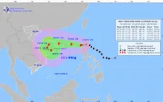 Bão Trami có cường độ mạnh, hướng vào khu vực biển ngoài khơi Trung Bộ