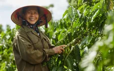 Việt Nam thuộc top đầu ASEAN về "đầu tư tác động"