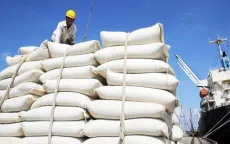 Gạo Việt Nam tiếp tục chinh phục thị trường Nhật Bản