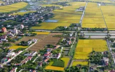 TP Hồ Chí Minh cho phép xây dựng công trình phục vụ sản xuất trên đất nông nghiệp
