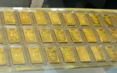Truy tố cựu thủ quỹ ngân hàng tham ô 246 lượng vàng SJC