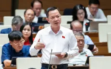 ĐBQH: Cần cởi trói cho các "sếu đầu đàn"