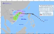 Bảo đảm thông tin liên lạc thông suốt phục vụ công tác điều hành, ứng phó bão Yinxing
