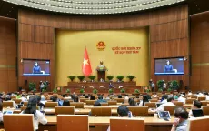 Cần xử lý nghiêm vi phạm về thực phẩm chức năng "dởm", quảng cáo sai sự thật