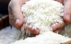 Thái Lan triển khai các biện pháp ổn định giá gạo