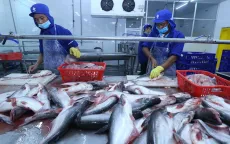 Xuất khẩu thủy sản tăng tốc