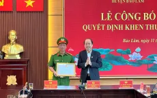 Lâm Đồng: Khen thưởng đột xuất lực lượng phá án vụ khai thác gỗ quý trái phép