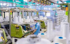 Xanh hoá để đón "đại bàng"