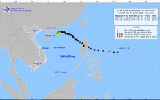 Bão số 8 suy yếu thành áp thấp nhiệt đới trên biển