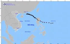 Tin cuối cùng về cơn bão số 8