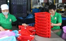 Người lao động có thể nghỉ phép gộp 3 năm một lần?