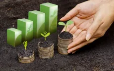 Nhật Bản chuyển hướng đầu tư xanh vào Việt Nam