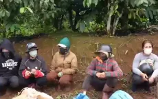 Gia tăng nhiều vụ trộm nông sản, phá hoại cây trồng tại Lâm Đồng