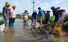 Hà Nội: Công bố tình huống khẩn cấp sạt lở đê tại Chương Mỹ