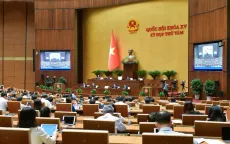 Cần bổ sung quy định quản lý chặt chẽ mua bán, sử dụng hóa chất