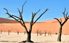Hơn 300 người di cư bị bắt giữ ở sa mạc Libya