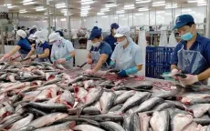 Doanh nghiệp xuất khẩu thuỷ sản tìm kiếm thị trường mới