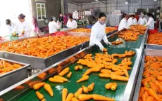 Công nghệ trợ lực cho nông sản