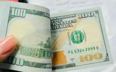 USD tăng cao trong bối cảnh lãi suất và bất ổn chính trị