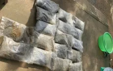 Khởi tố vụ án hình sự, điều tra làm rõ nguồn gốc 9,4 kg cần sa trôi dạt