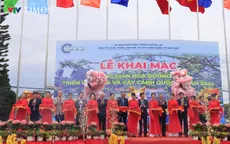 Gần 1 triệu chậu hoa "xuống phố" trong dịp Festival