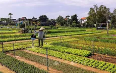 Lần đầu tiên Việt Nam đăng cai tổ chức Hội nghị quốc tế về Du lịch nông thôn
