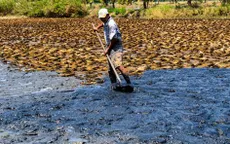 Thủ tướng chỉ đạo chủ động phòng, chống hạn hán, thiếu nước, xâm nhập mặn