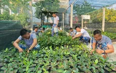 "Xanh hóa Trường Sa"