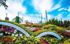 Biểu diễn âm nhạc miễn phí trên tàu Đà Lạt - Trại Mát