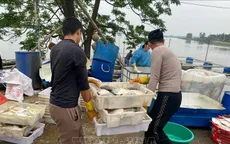 Xác định nguyên nhân hàng tấn cá chết tại Hà Tĩnh