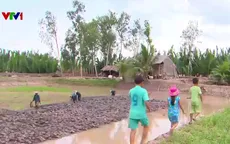 Trà Vinh: Về Cồn Chim sống thuận thiên