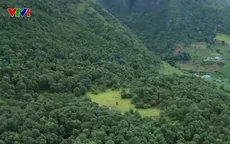 Phát triển du lịch sinh thái kết hợp với giữ rừng